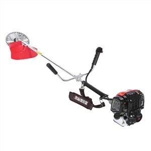 Portable blenndè